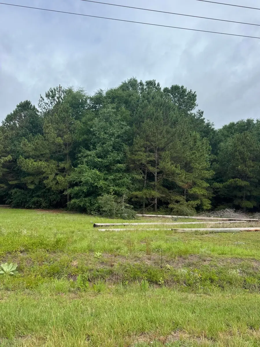 00 Cooper Lane (fronts Hwy 301 St Paul Road) #Lot 13, Summerton, SC 29148 - #2