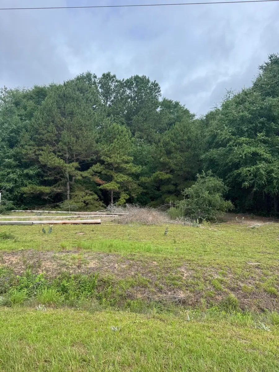00 Cooper Lane (fronts Hwy 301 St Paul Road) #Lot 13, Summerton, SC 29148 - #3