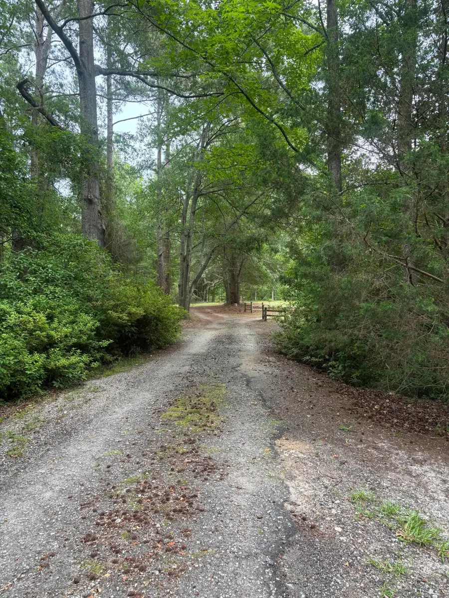 1855 Queen Chapel Road, Sumter, SC 29153 - #3