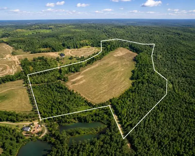 2003 Driggers Lane, Manning, SC 29102 - #1