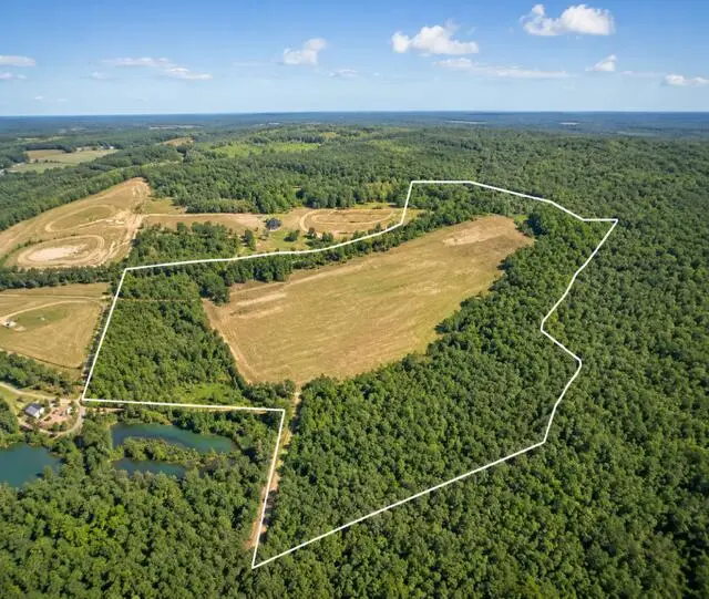2003 Driggers Lane, Manning, SC 29102 - #2