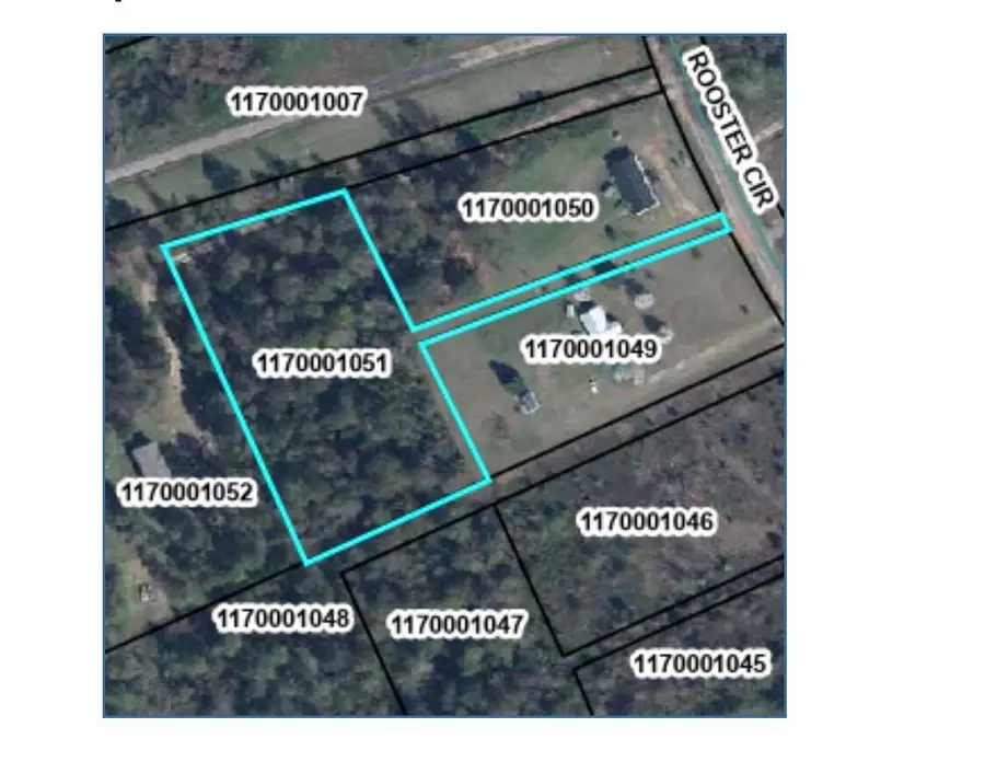 5735 Rooster Circle, Pinewood, SC 29125 - #2