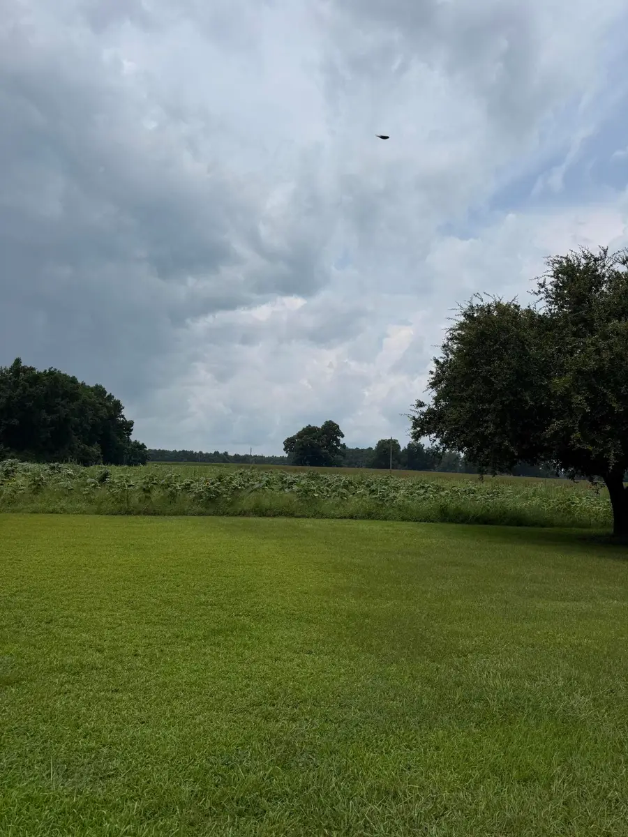 2152 Brogdon Road, Alcolu, SC 29001 - #2