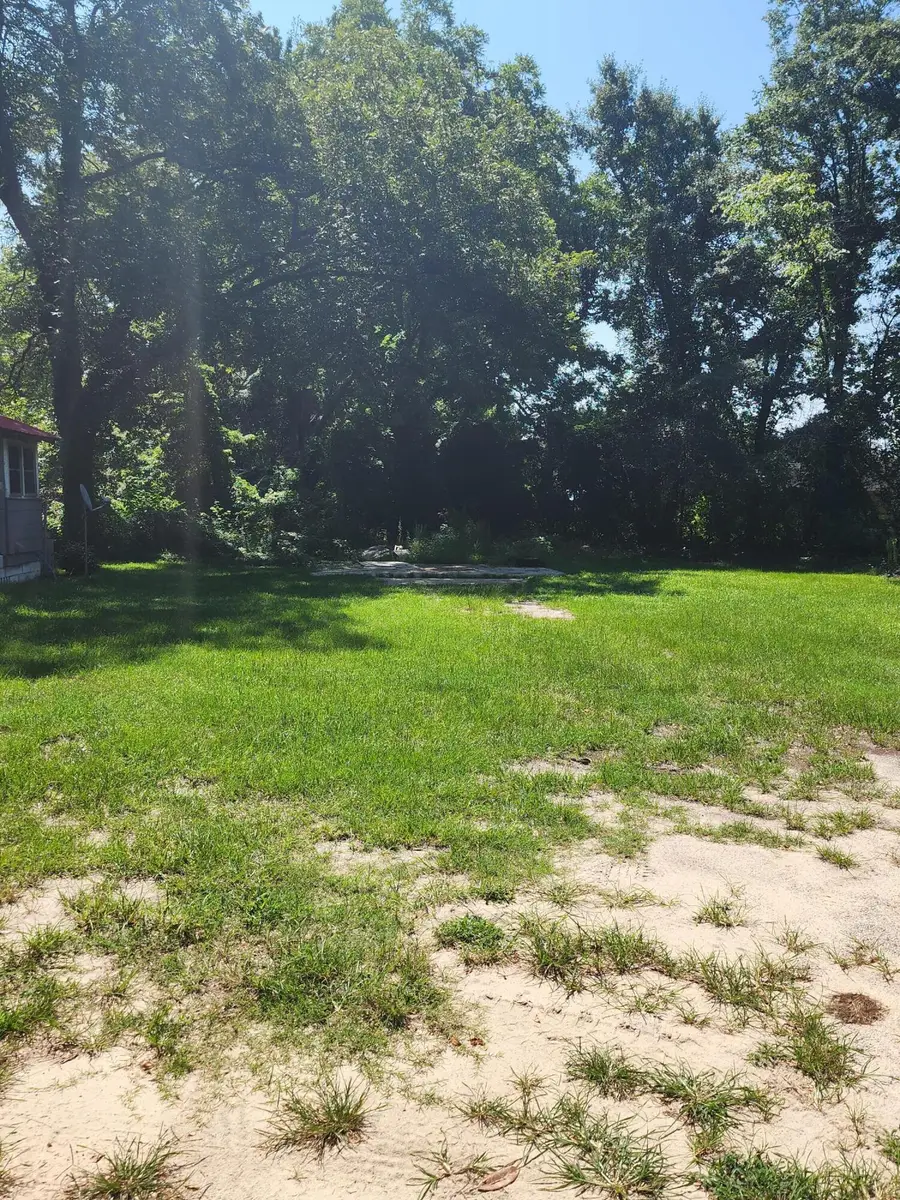 513 Elm Street, Darlington, SC 29532 - #3