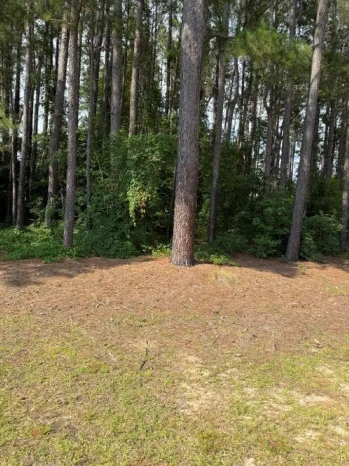 2140 Watersong Run, Sumter, SC 29150 - #3