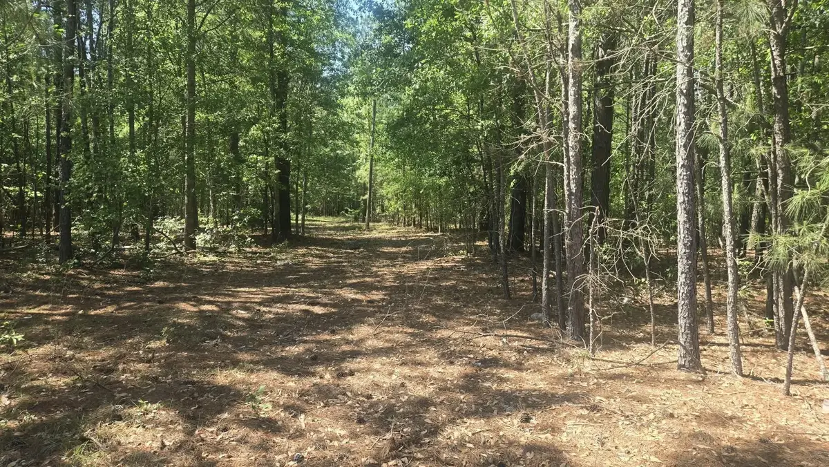 415 Pearson Road, Sumter, SC 29150 - #1