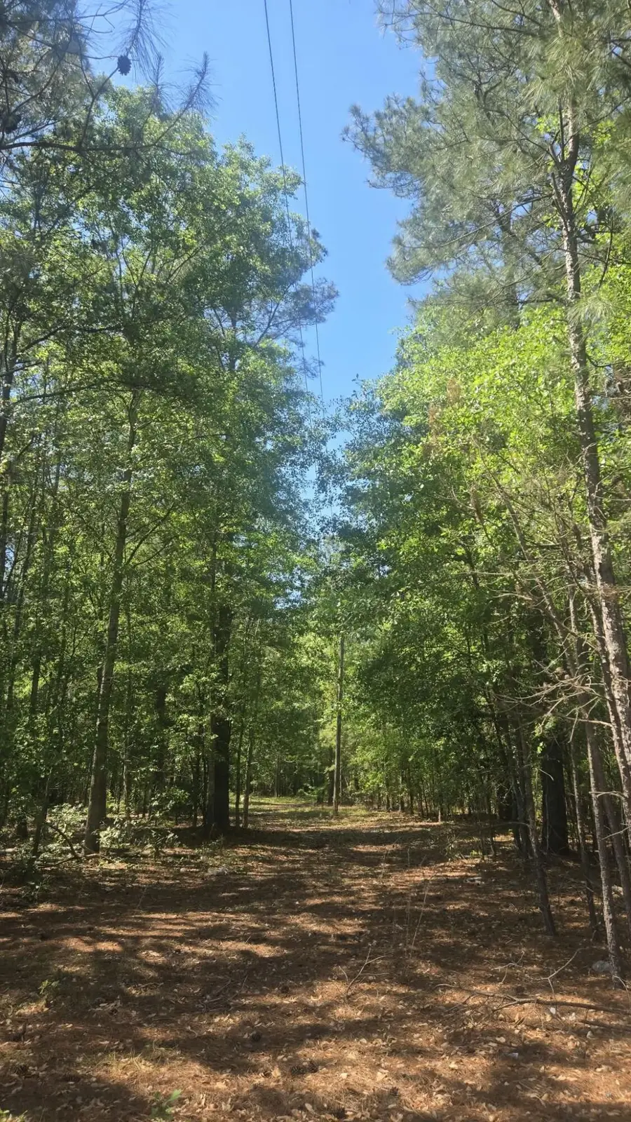 415 Pearson Road, Sumter, SC 29150 - #2
