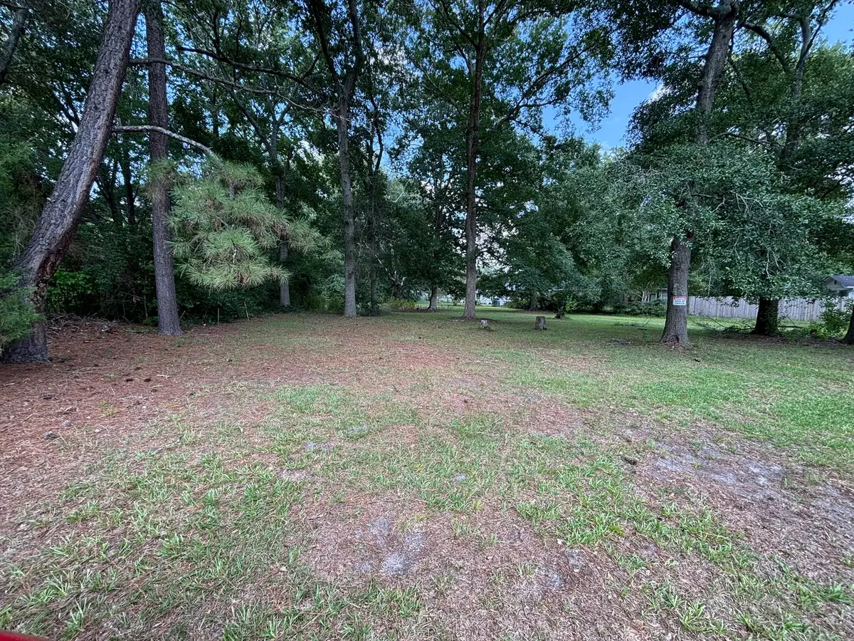 203 Phifer Street, Sumter, SC 29150 - #1