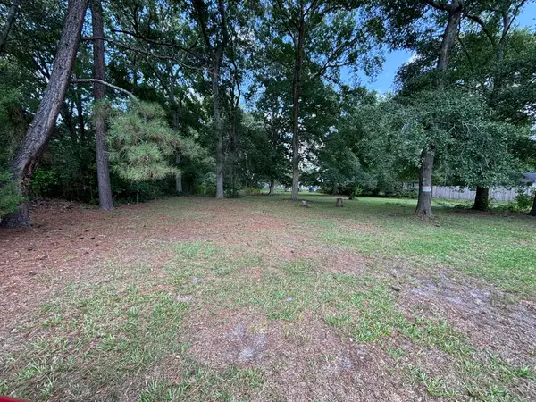 203 Phifer Street, Sumter, SC 29150