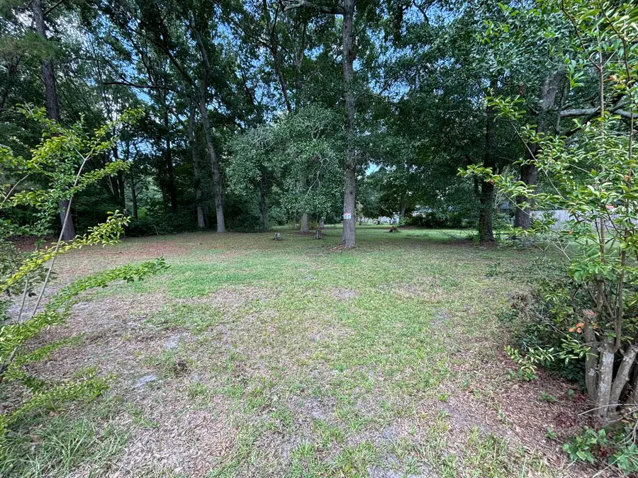 203 Phifer Street, Sumter, SC 29150 - #2
