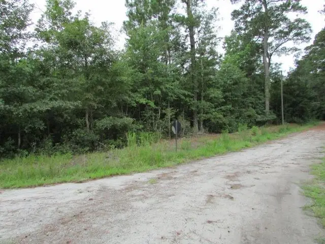 0 Tate Street, Sumter, SC 29153 - #1