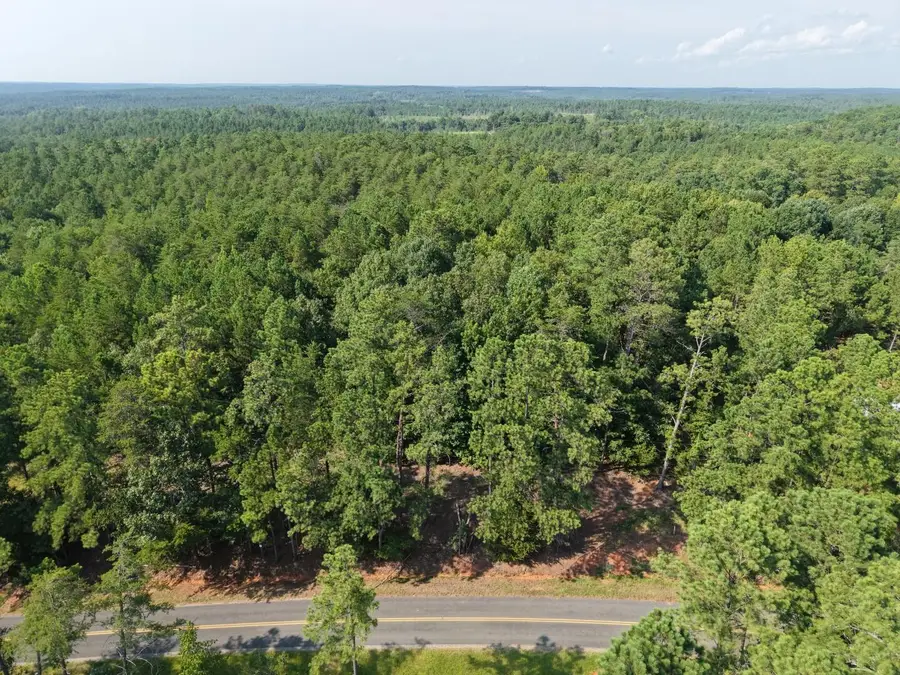 3096 State Road S-20-33 #Parcel 1, Winnsboro, SC 29180 - #3
