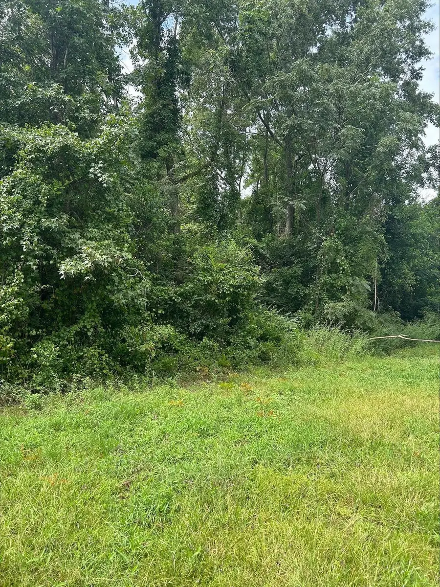 00 Hall Street, Summerton, SC 29148 - #2