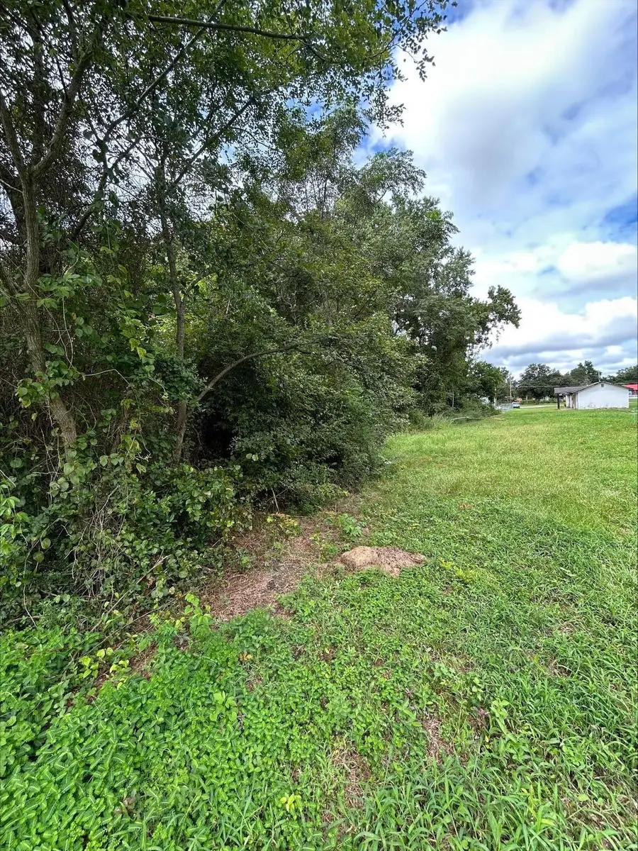 00 Hall Street, Summerton, SC 29148 - #3