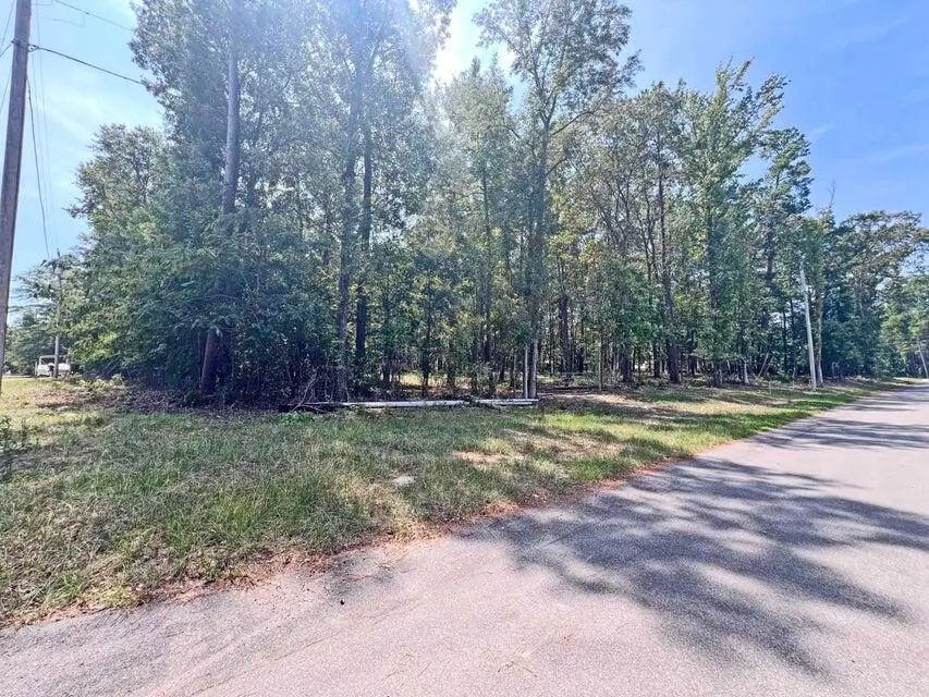 1073 Summerford Lane, Manning, SC 29102 - #2