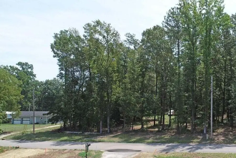 1073 Summerford Lane, Manning, SC 29102 - #3
