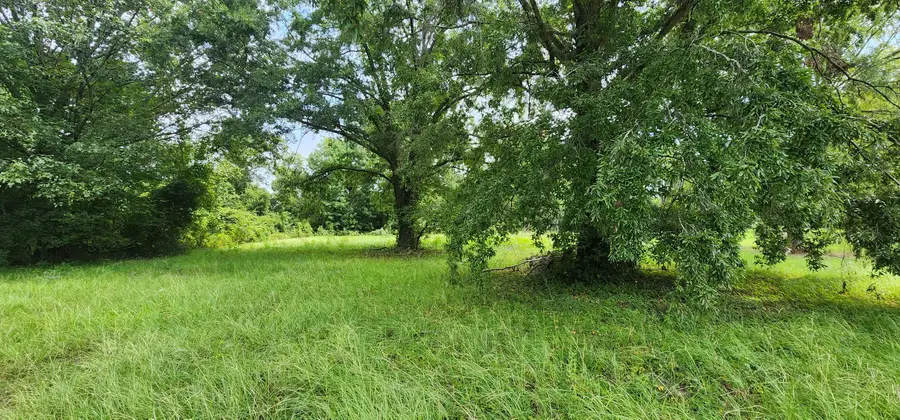 1354 Tennis Lane, Summerton, SC 29148 - #2