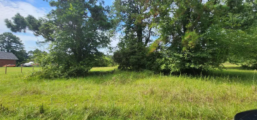1318 Tennis Lane, Summerton, SC 29148 - #2
