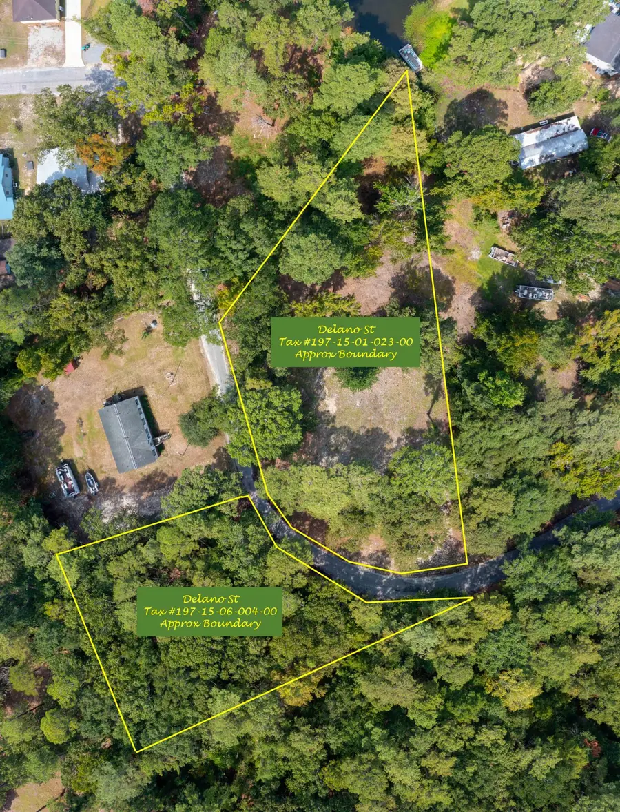 0 Delano Street, Manning, SC 29102 - #2