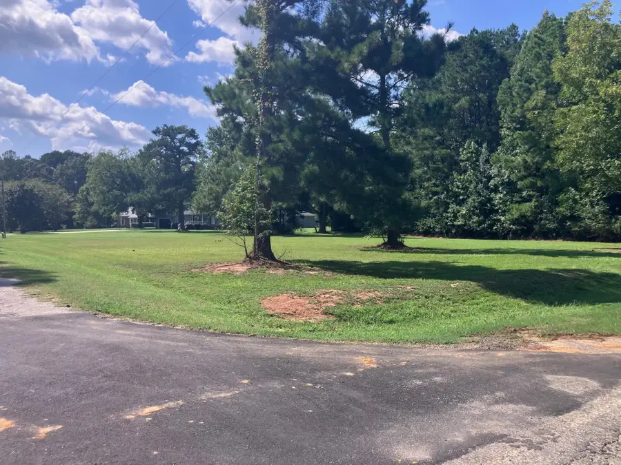 000 Tom Charles Road, Summerton, SC 29148 - #2