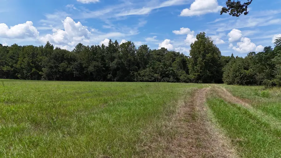 286 Shrike Road, Saint Matthews, SC 29135 - #2