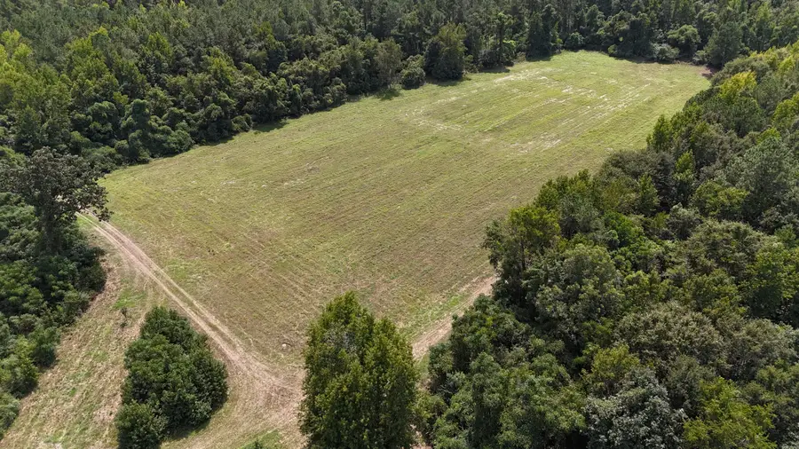 286 Shrike Road, Saint Matthews, SC 29135 - #3