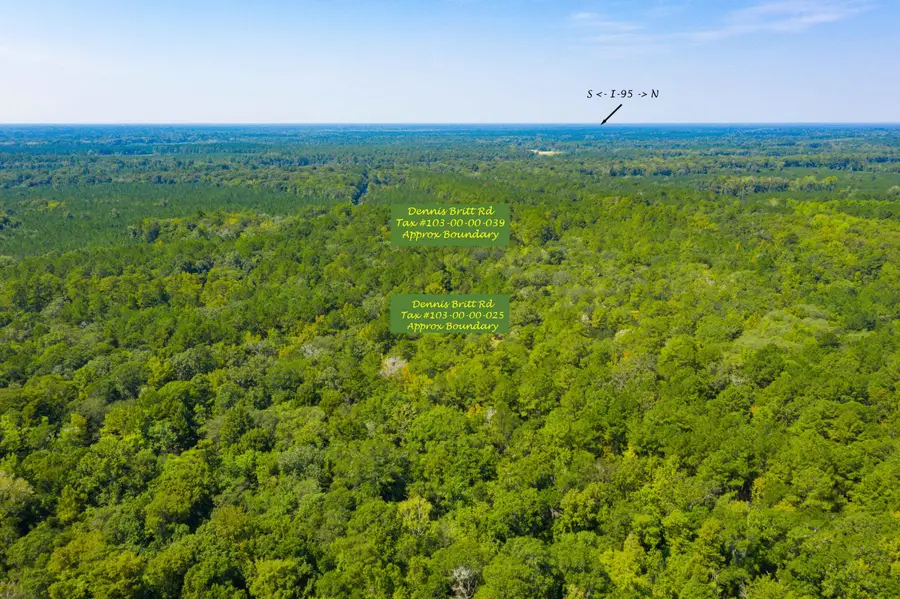 0 Dennis Britt Road, Saint George, SC 29477 - #3