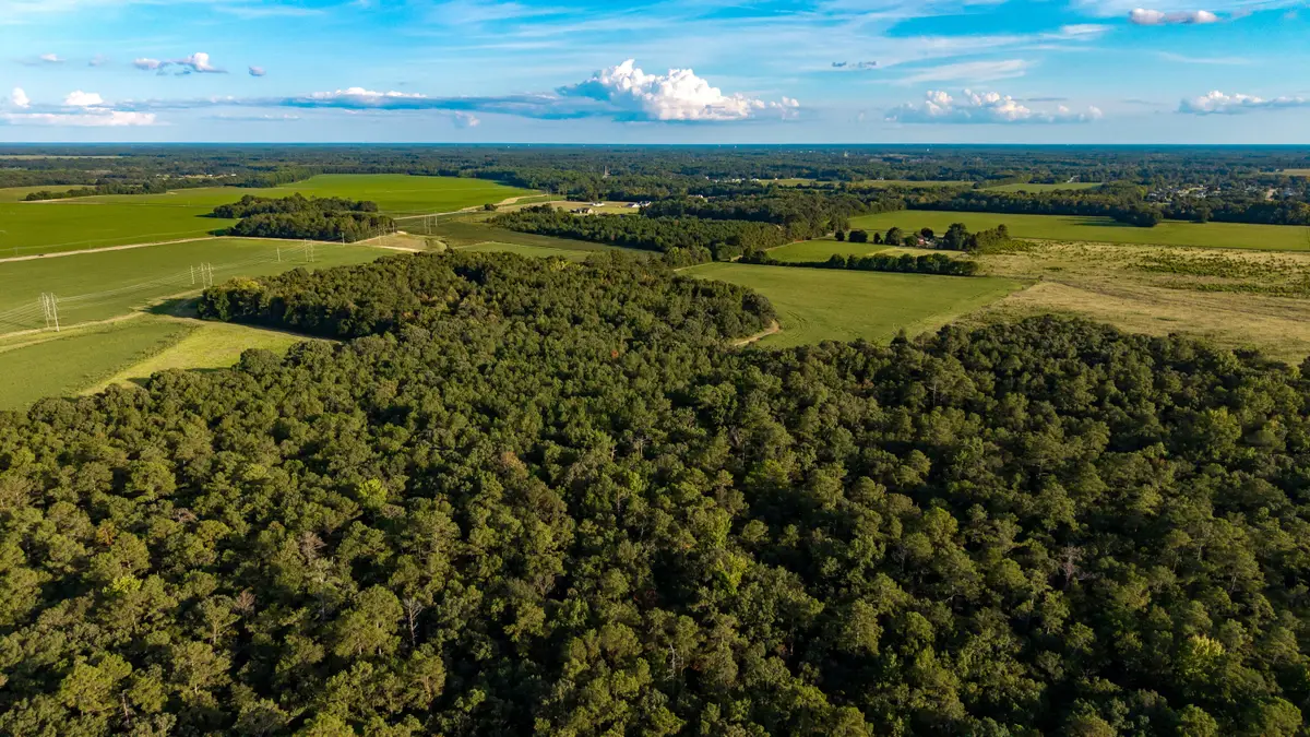 0000 Peach Orchard Road, Rembert, SC 29128 - #1