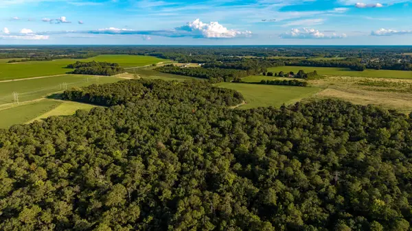 0000 Peach Orchard Road, Rembert, SC 29128