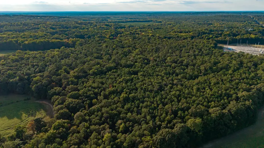 0000 Peach Orchard Road, Rembert, SC 29128 - #2