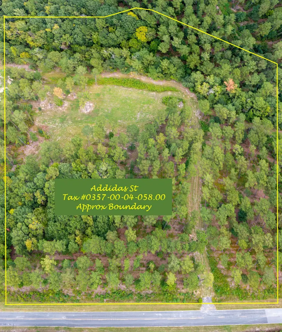 0 Addidas Street #16, Eutawville, SC 29048 - #2