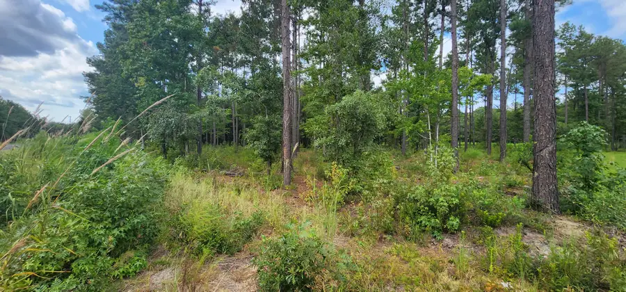 0 Addidas Street #16, Eutawville, SC 29048 - #3