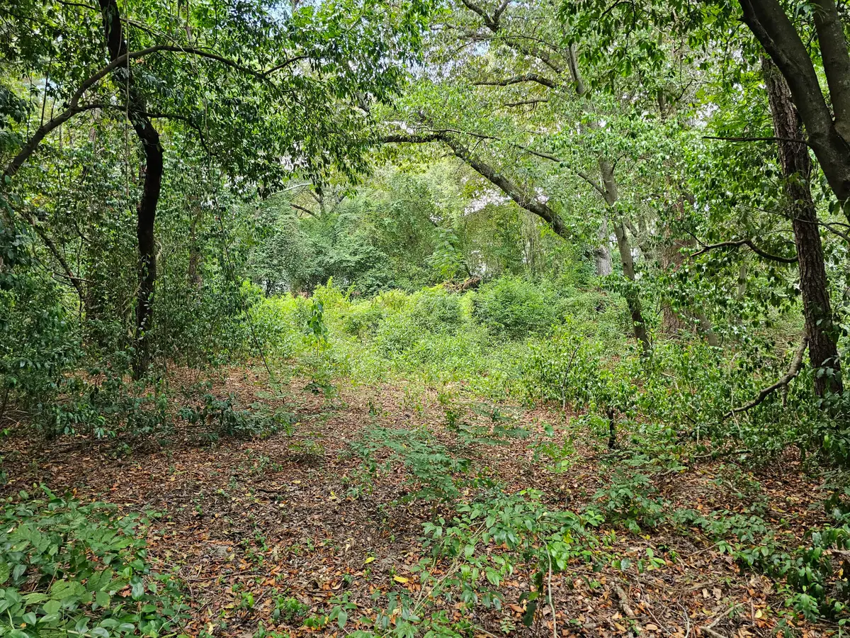 860 Lewis Road, Sumter, SC 29154 - #1