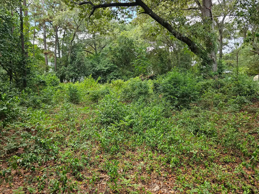 860 Lewis Road, Sumter, SC 29154 - #3