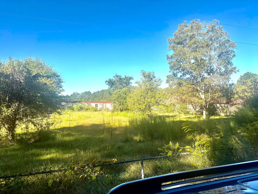 1395 Dreamers Lane, Pinewood, SC 29125 - #3