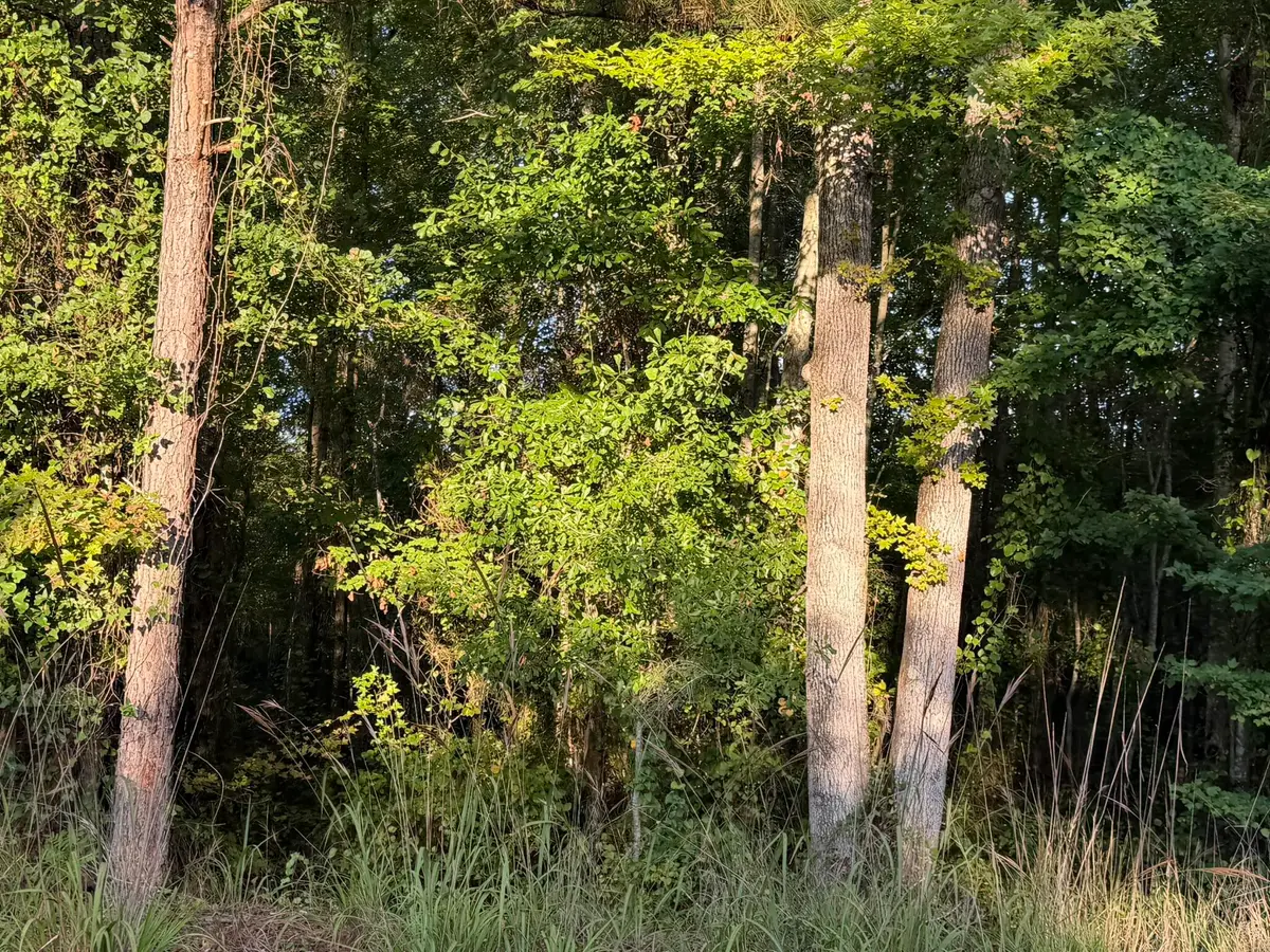 Tbd Black River Road, Rembert, SC 29128 - #1