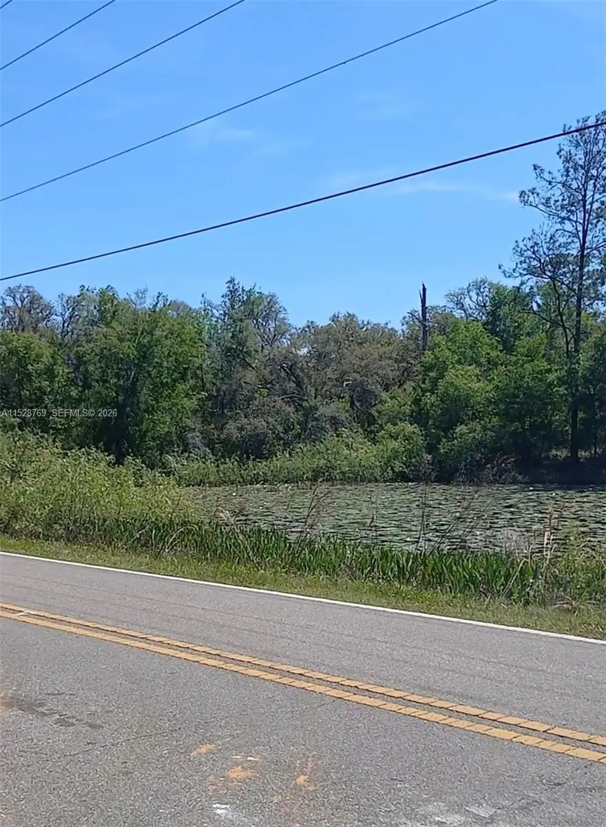 0 Richardson Blvd, Webster, FL 33597 - #3