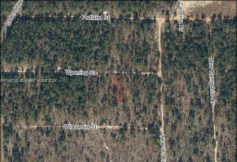 105 Wyoming St, Other, FL 32640