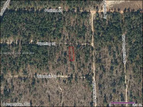103 Wyoming St, Interlachen Florahome, FL 32640 - #1