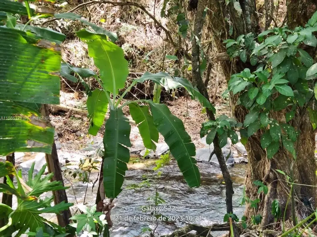 no # Puente De Piedra Y Tacares Alajuela Grecia C R, Lake George, CO  - #1