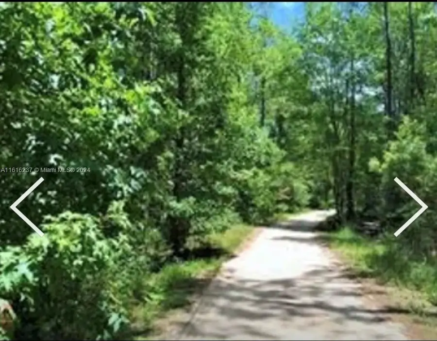 649 Chiimney Rock Rd, White Oak, GA 31568 - #3