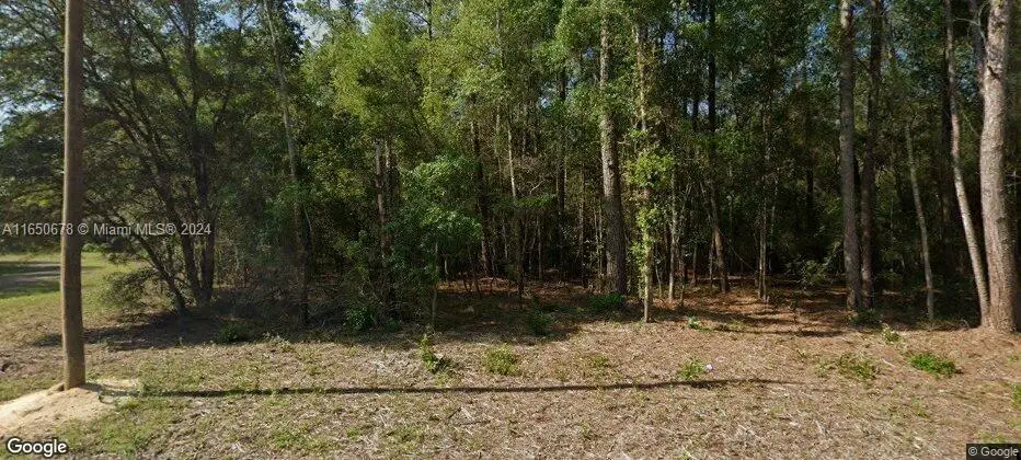 8742 N Nobelton Way, Citrus Springs, FL 34434 - #1