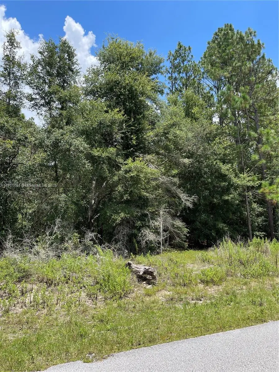 tbd SW 59th Ln, Other, FL 34431 - #1