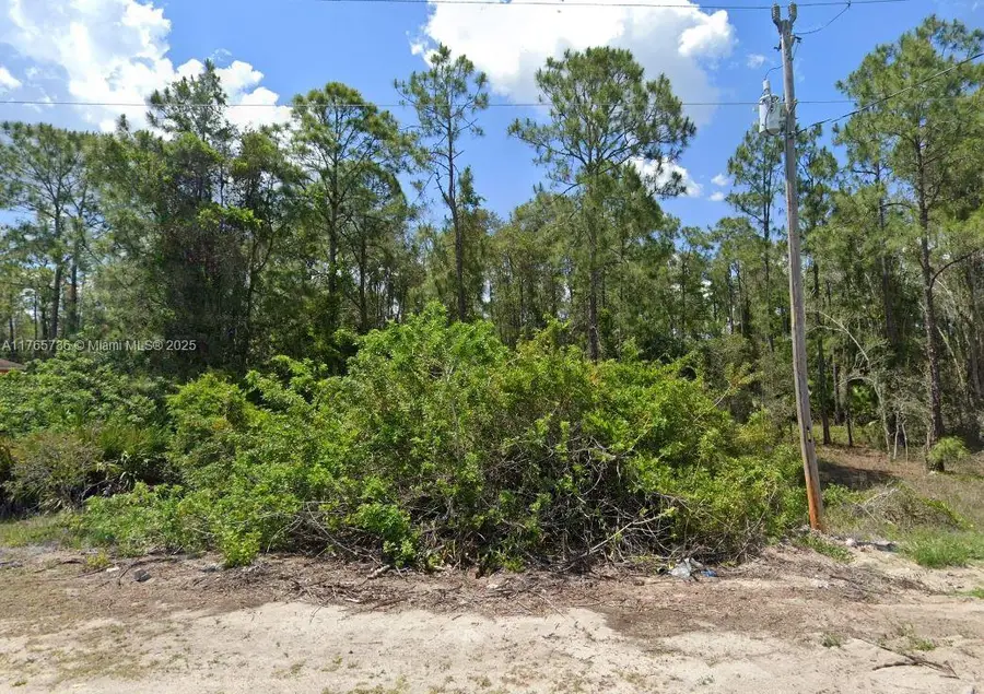 806 Grenada Ave, Lehigh Acres, FL 33974 - #3