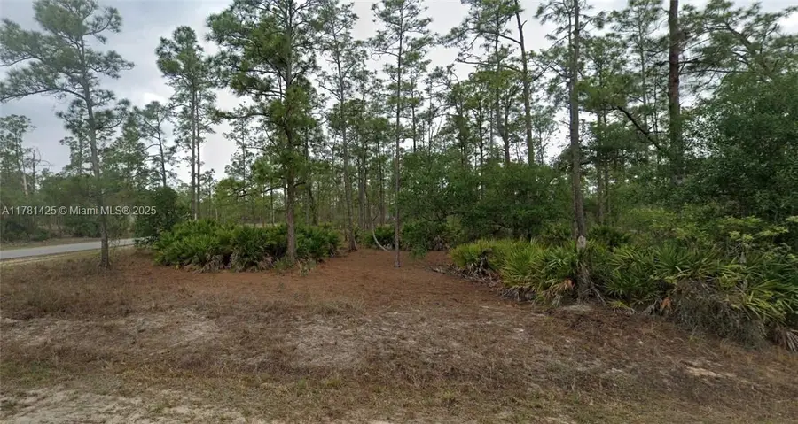 1301 James Avenue, Lehigh Acres, FL 33972 - Image #2