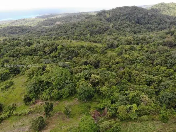 00 Tanglewood, St Ann Jamaica, ,  