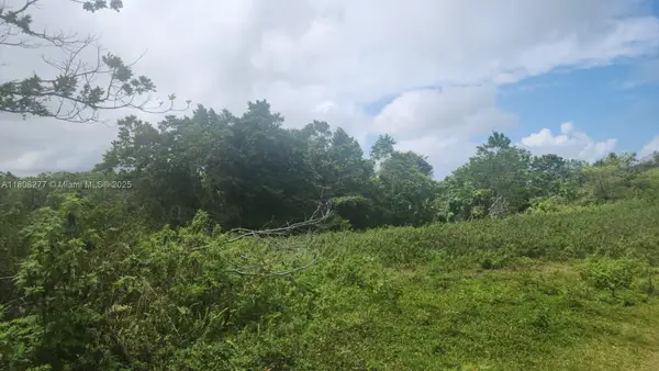 00 Ocean And Mountainview Epworth,st Ann,jamaica, St Ann,  