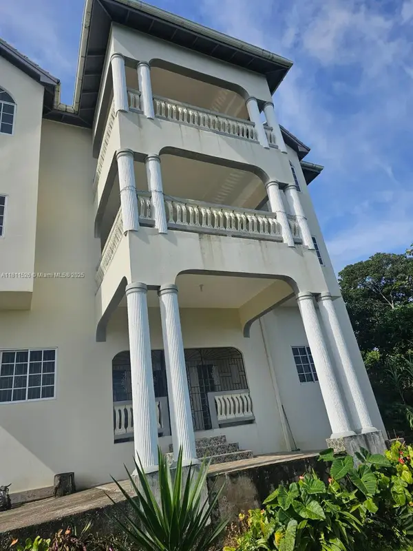 00 Bamboo, St. Ann, Jamaica, St Ann,  