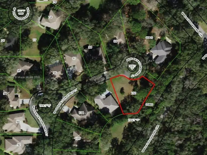 2940 W Plantation Pines Ct, Black Diamond, FL 34461 - #1