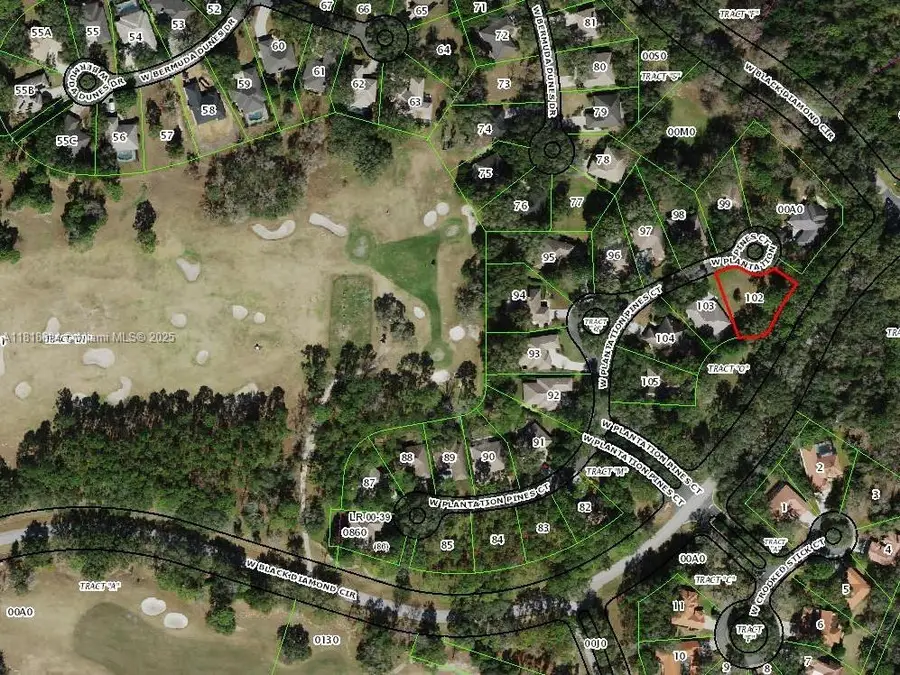 2940 W Plantation Pines Ct, Black Diamond, FL 34461 - #3